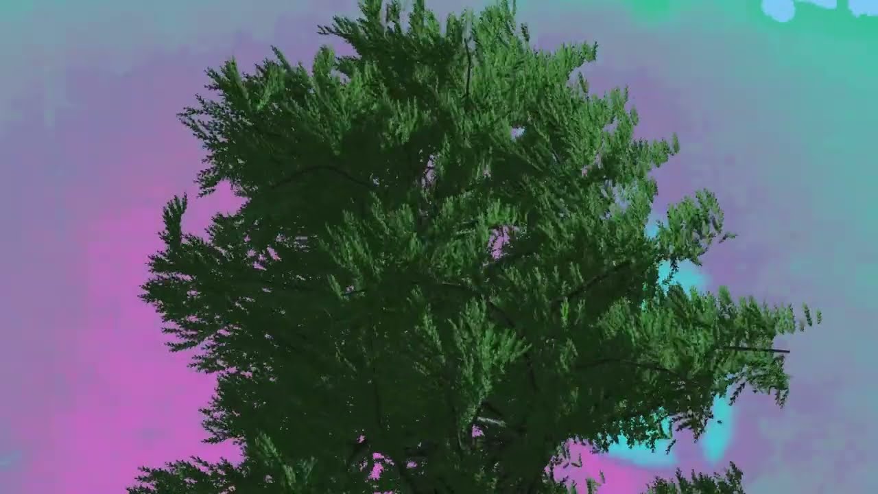RAVAGE SENTIMENTAL - Michel (official video)