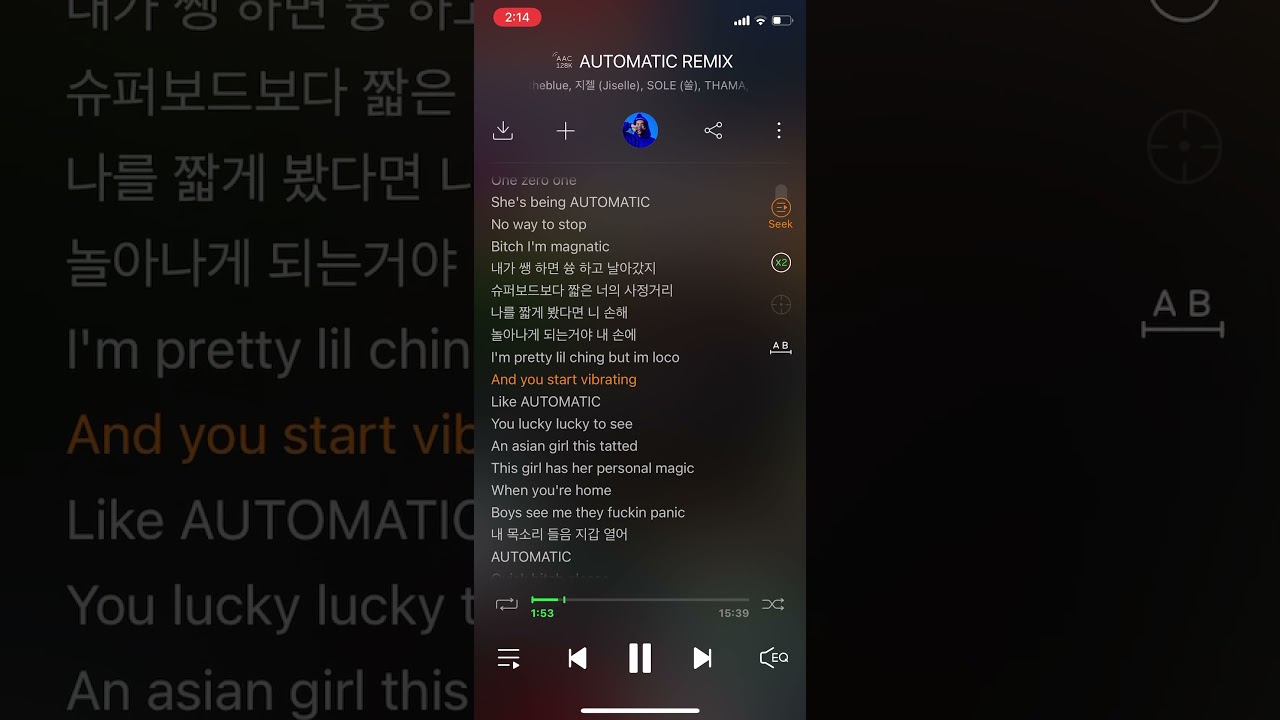 AUTOMATIC REMIX 챈슬러 박재범 이하이 비비 제이미 1시간 말고 30분 듣기