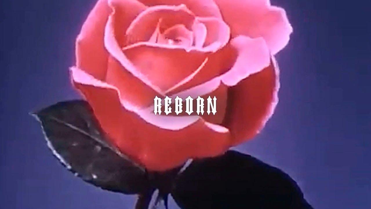 Scrim- reborn (official lyric video)