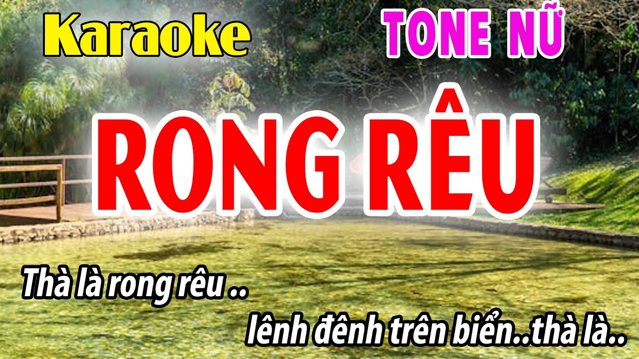Karaoke Rong Rêu Tone Nữ | Am | Đời Sống và Âm Nhạc