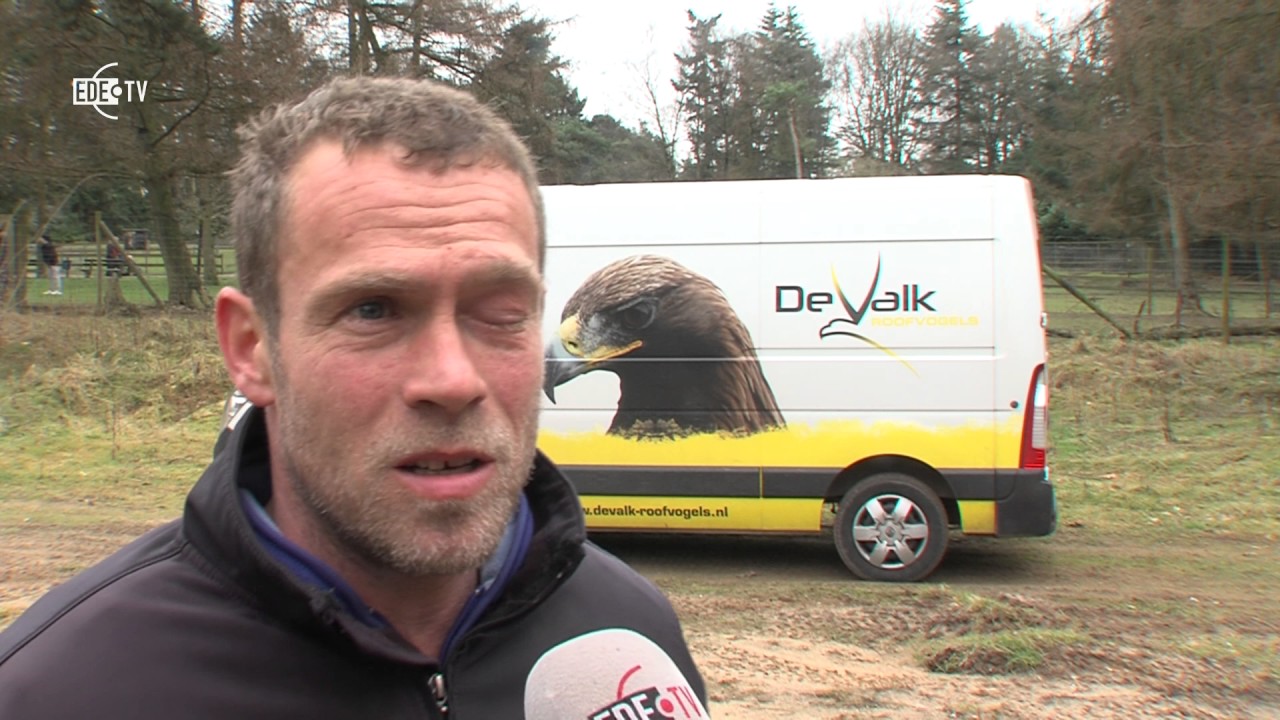 Roofvogels (Zicht op Ede 20-03-2017)