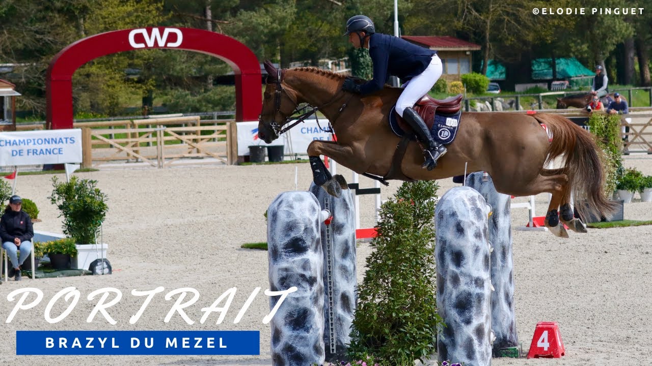 [PORTRAIT] Brazyl du Mezel