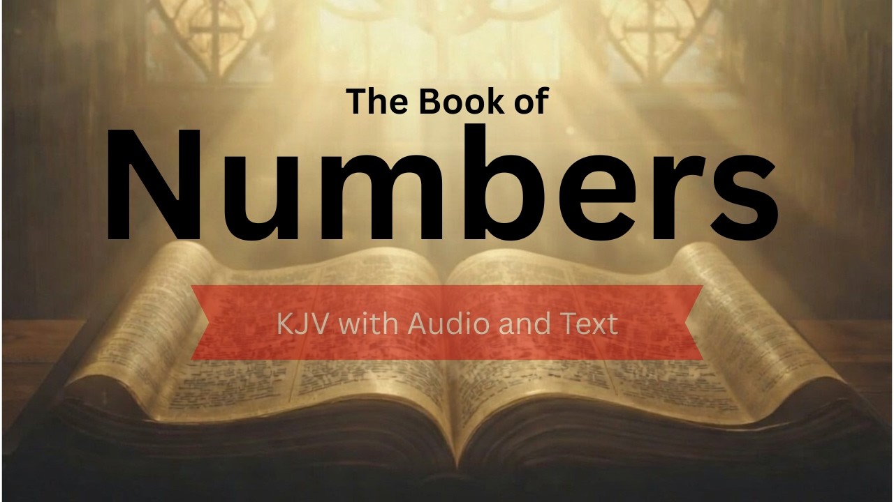 The Book of Numbers