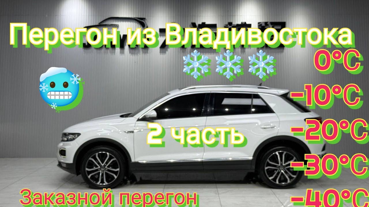 Перегон из Владивостока, заказной перегон Благовещенск - Воронеж. Китайский Немец VAG часть 2
