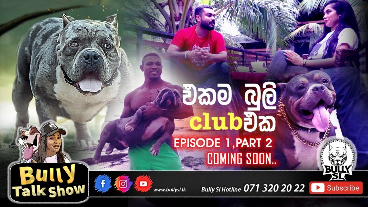 Bully Talk Show Episode 1 part 2 with Shane Zing | Bully SL