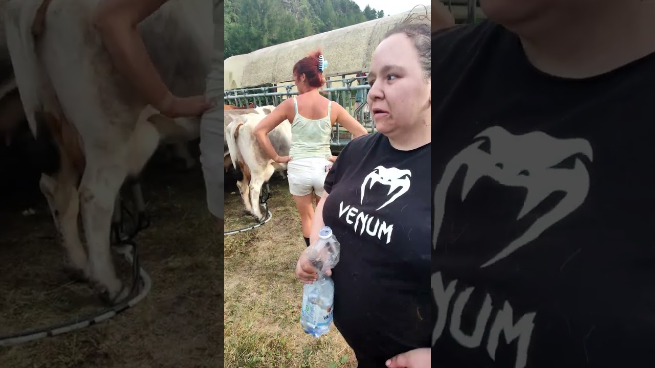Salbeltrand la saga della mucca - coccolo e accudisco cucciola di mucca per la prima volta