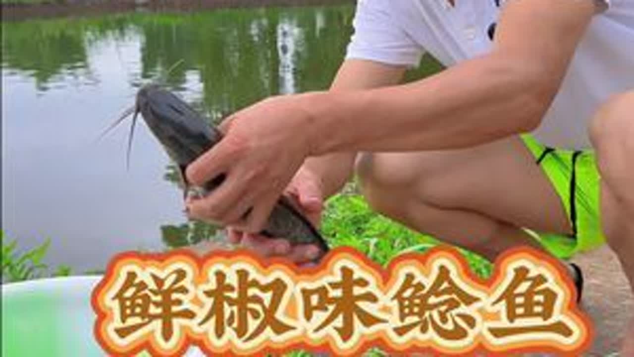 钓的秀儿姐的鲶鱼，做了个自贡人喜欢吃的鲜椒味，那个味道就是鲜、嫩……硬是巴卡 #新农人计划2025 #一定要看到最后 #原创视频 #三哥和芬姐乡村生活 #桂圆山莊