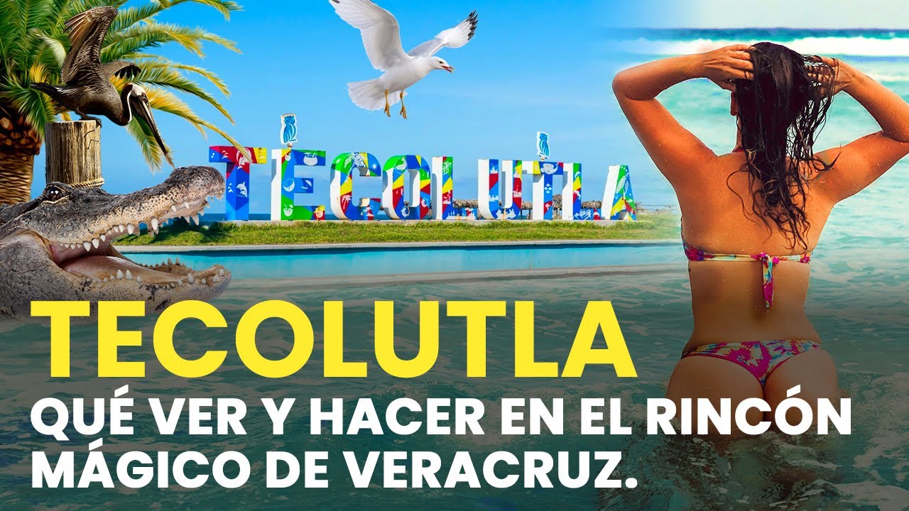 2026 Tecolutla: Guía Completa, Vívelo al Máximo 🌴 ¿A dónde ir?¿Qué hacer? Playa, comida y diversión