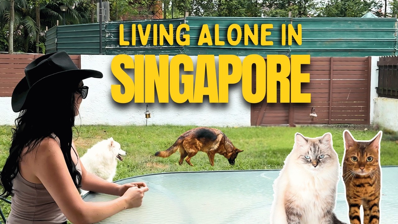 Living Alone in Singapore (With 4 Pets) 🇸🇬 Cozy Days at Home & Sushi for One
