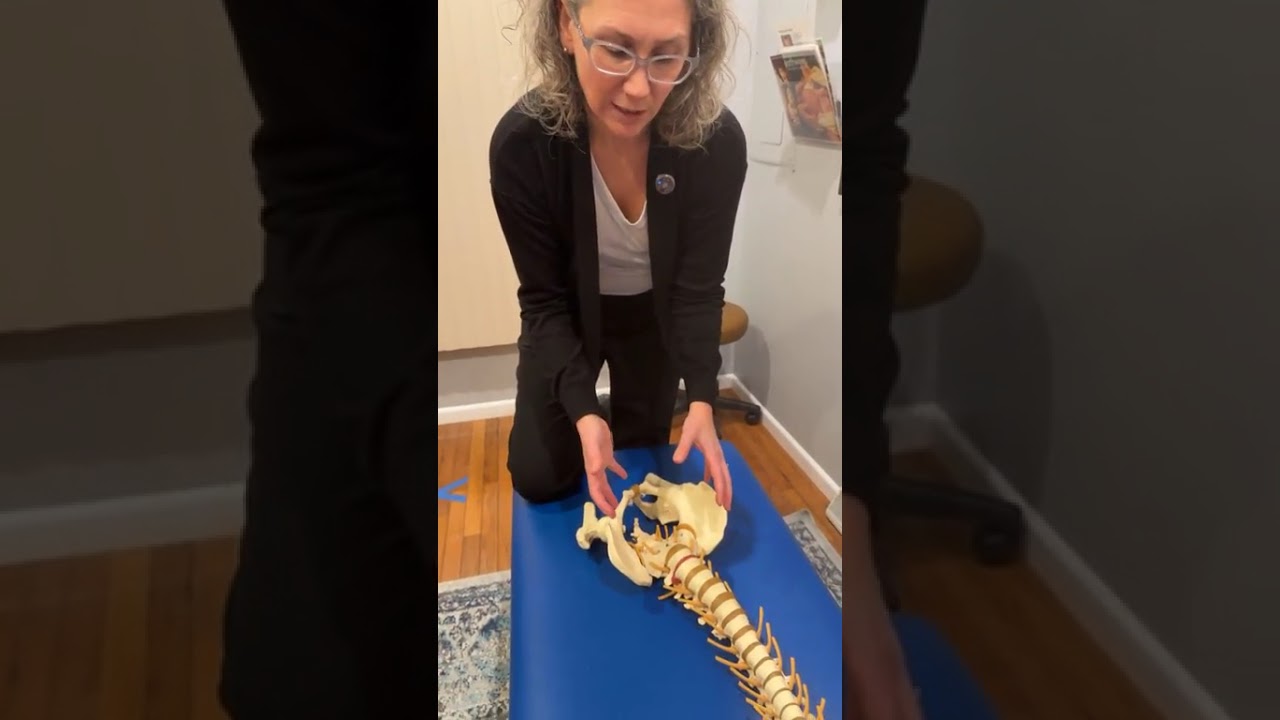 Dr Rachel Northern, DC CACCP - Webster Technique Pregnancy Adjusting