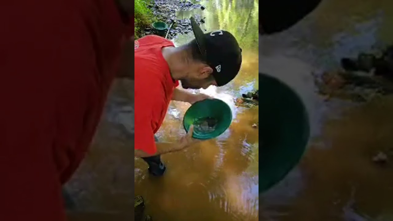 In Georgia, we call these GOLD NUGGETS!!!