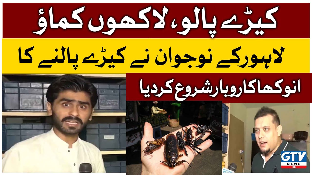 Insects Business In Pakistan | Millions of Rupees Earned by Rearing Insects | Breaking News