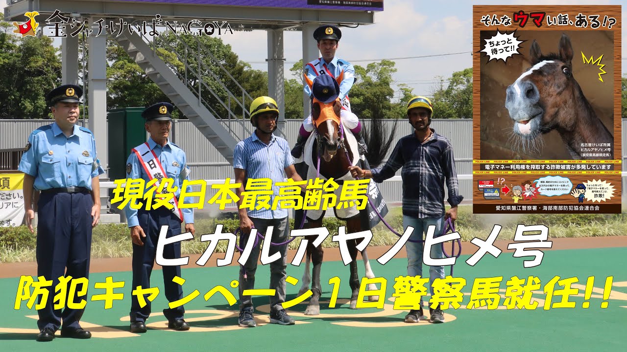 名古屋けいば「ヒカルアヤノヒメ号」一日警察馬就任!!