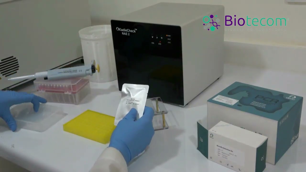 KadieCheck - POC Molecular Veterinario