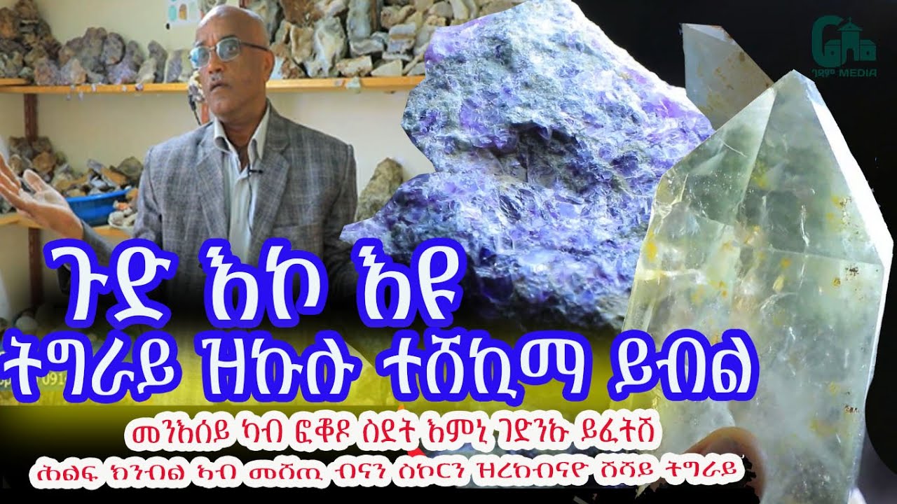 #ወርቅን #ቡናን ሽኮርን ኣብ ሓድ ድንካን ገጢሙና ታይ እዩ ዝኩለይ ኢልና ተጋለስና  እዞም ደቅይ #ትግራይስ ዘይፈለጥናያ ኣብ ሞሶብ ዝተቐመጠት #ወርቂ እያ