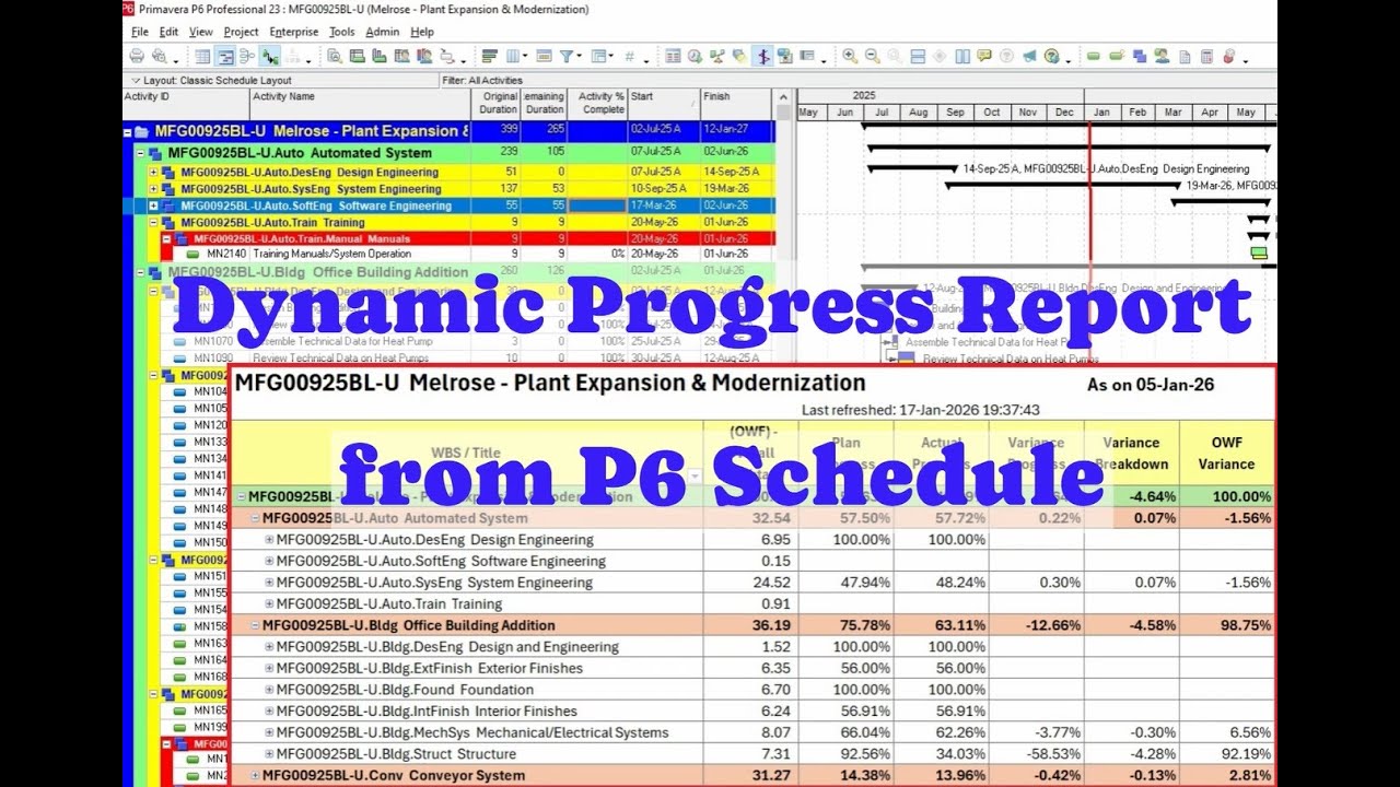 Dynamic Progress Report from primavera p6 schedules