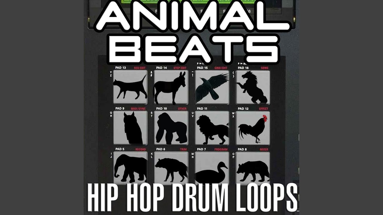 Funny Hip Hop Goat