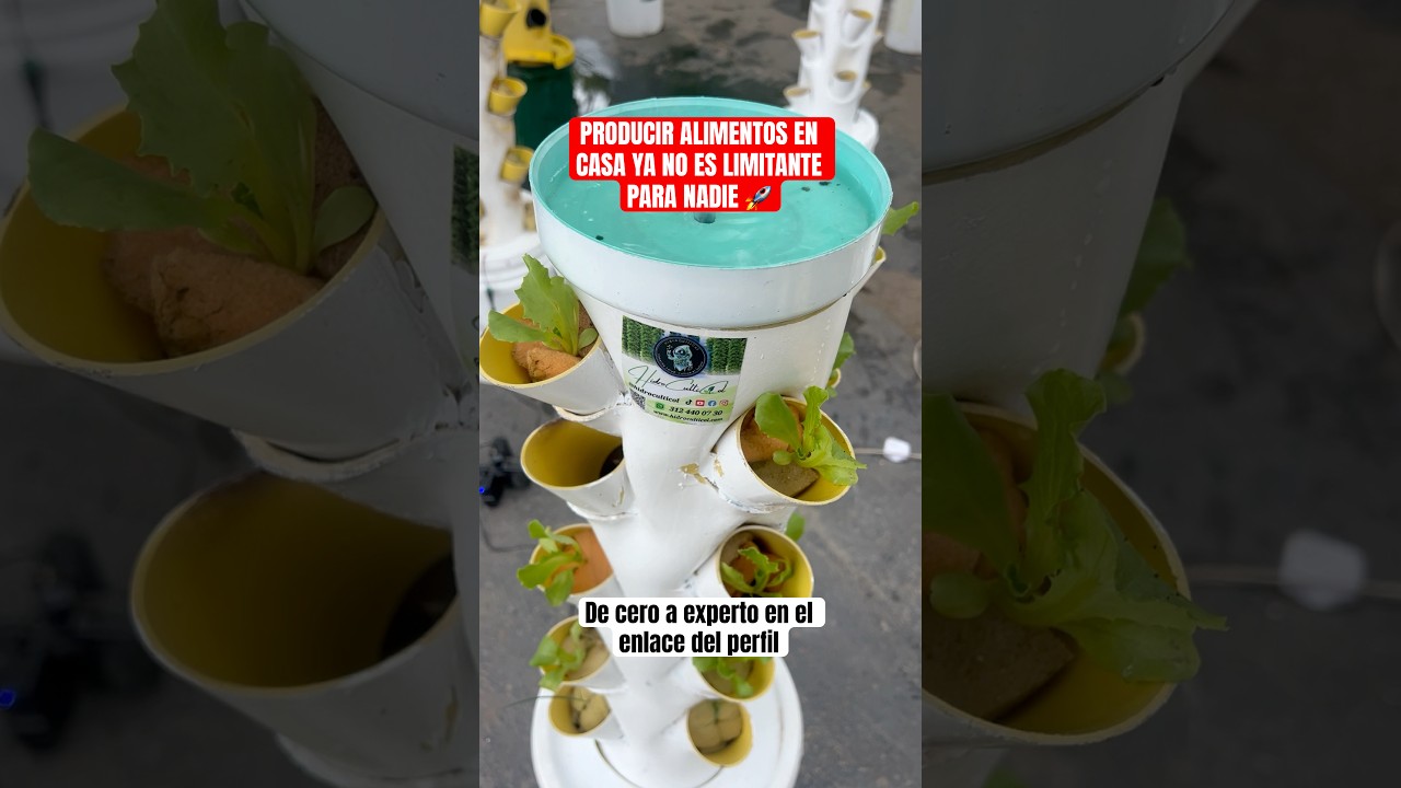 Mini torre AEROPONICA para 18 plantas aerohome #aeroponia #agricultura #salud #plants