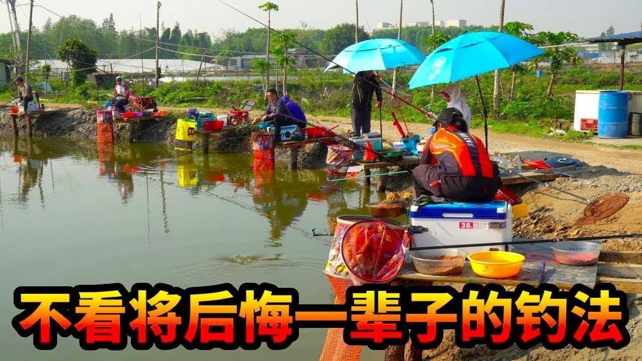 这是一条钓鱼高手必看的视频！罗非的另类钓法，在鱼不开口的时候能够起到关键作用#钓鱼 #游钓黑坑疯子 #黑坑