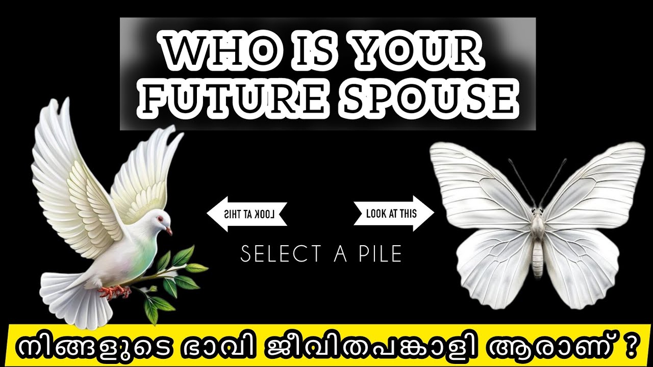 Who?.... ആരാണ് നിങ്ങളുടെ ആ പകുതി.... എവടെ ആണ്?