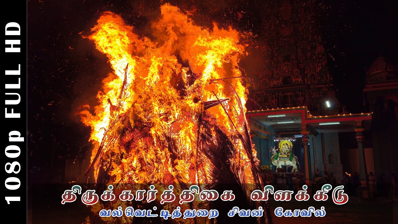 திருக்கார்த்திகை விளக்கீடு 20 அடி உயரமான சொக்கப்பானை  - ௨௦௨௫ (2025)|வல்வெட்டித்துறை சிவன் கோவில்