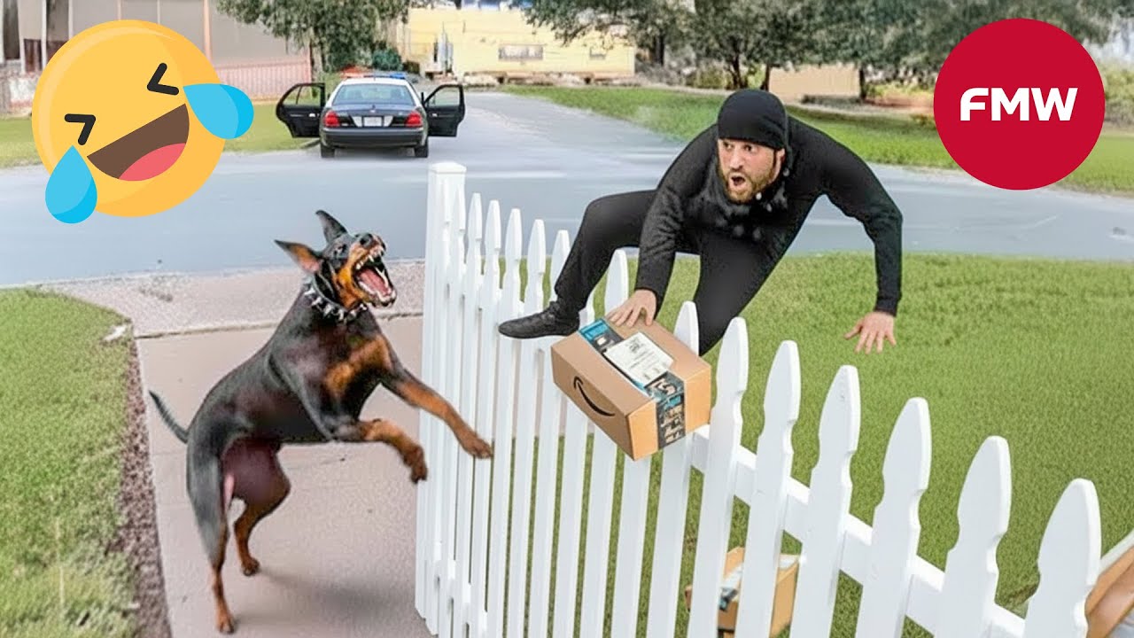 СМЕШНЫЕ МОМЕНТЫ 2025 😂 | Try Not To Laugh | Epic Fails Compilation #573