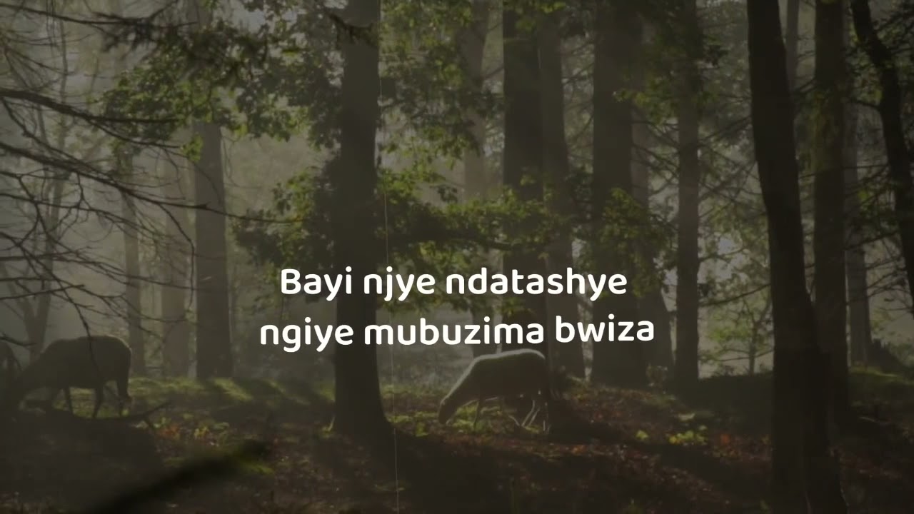 Amatsiko By DMY Singers (Official video lyrics)