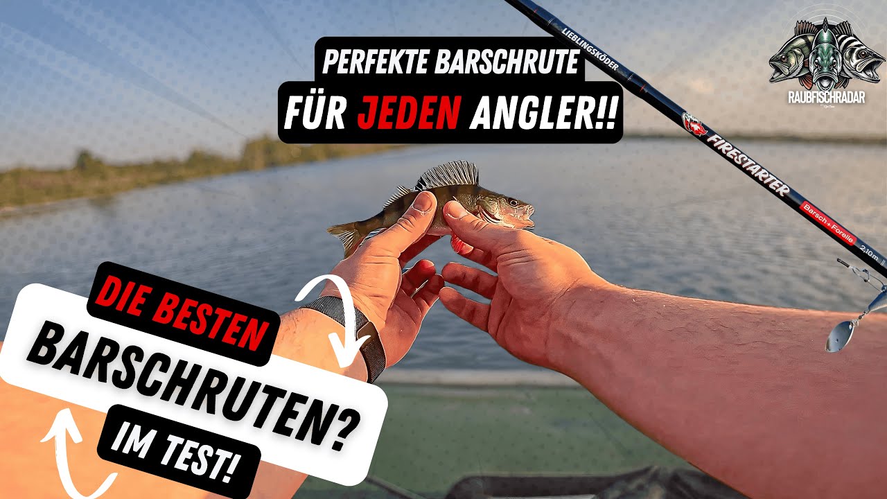Die Besten Barschruten im Test 🎣 | Beste Einsteigerrute | Lieblingsk&ouml;der | Nays One | Daiwa | Westin