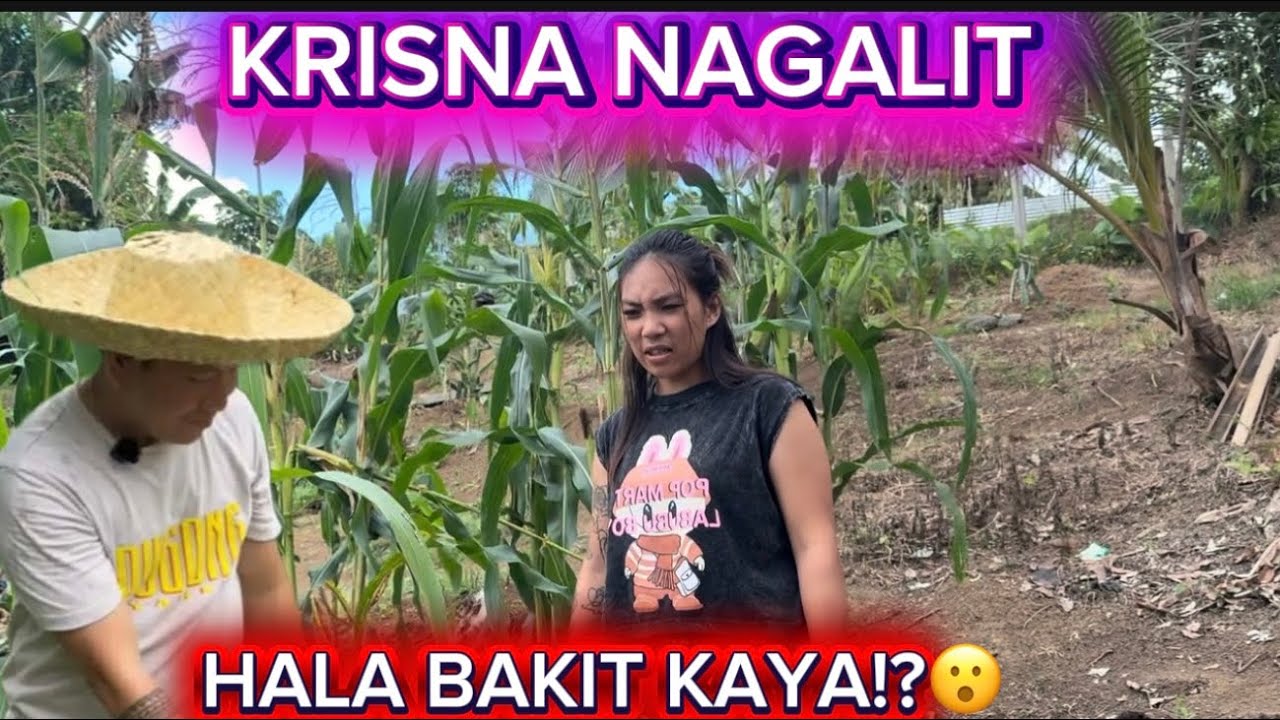 KRISNA NAGALIT, BAKIT KAYA!? #pekengkoreana #pbteam #ofw 