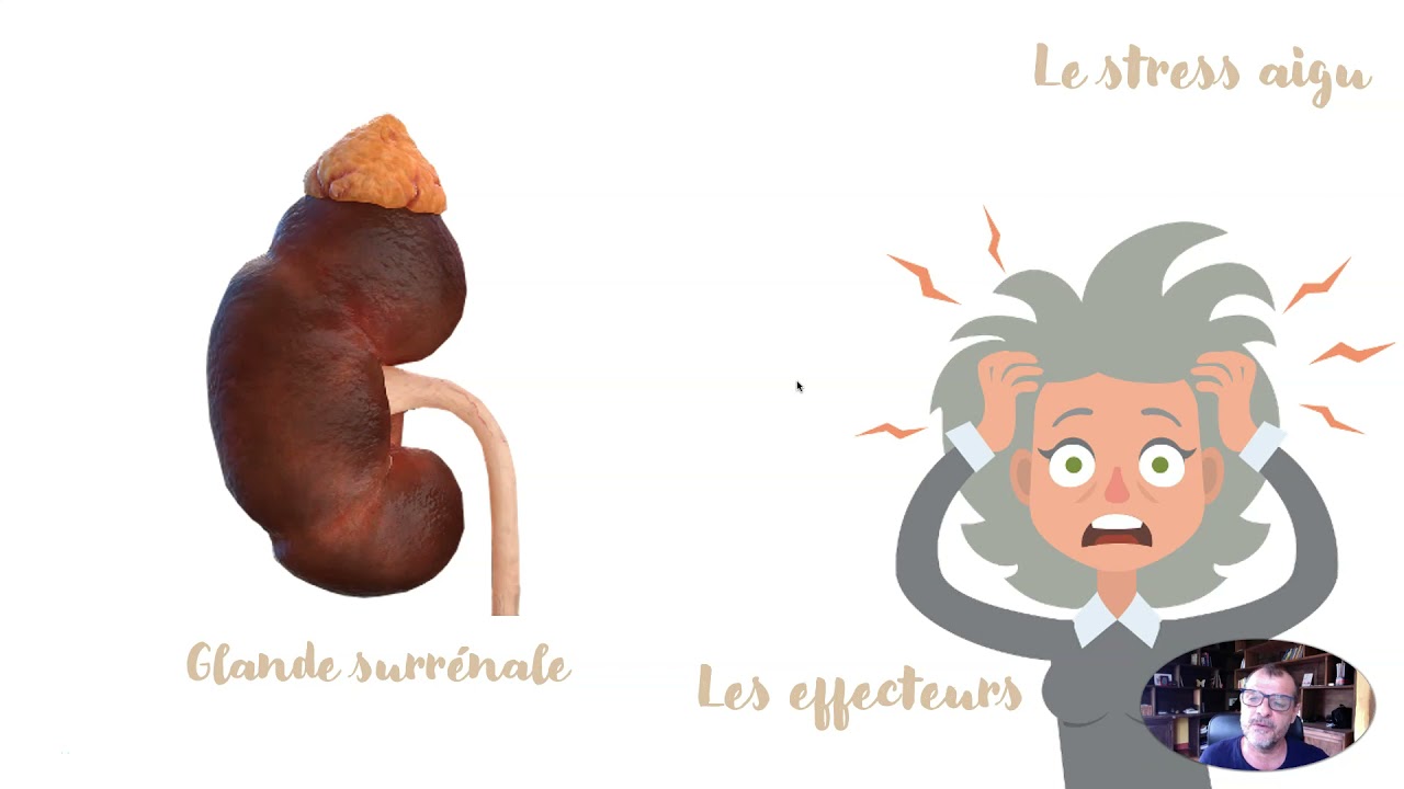Le stress aigu