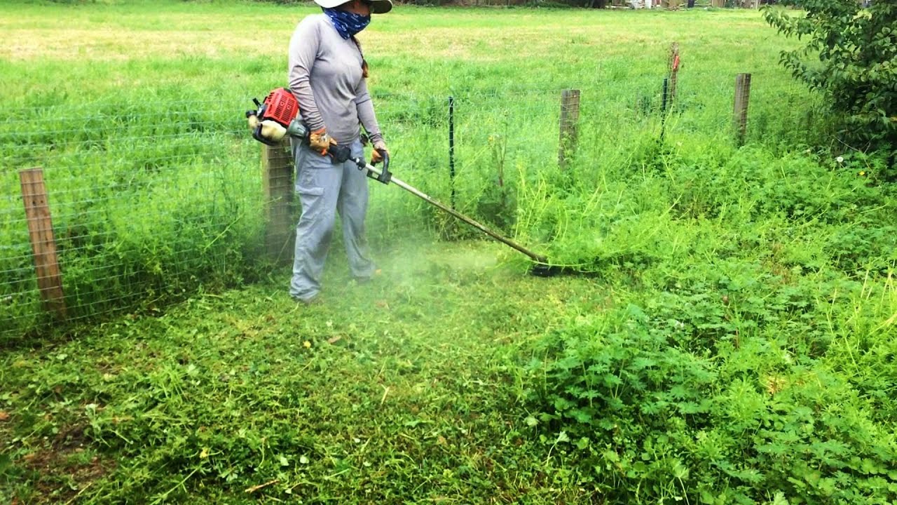 Can't Access This Overgrown Back Yard With Our Mower | Re edit and Upload For Your Viewing Pleasure