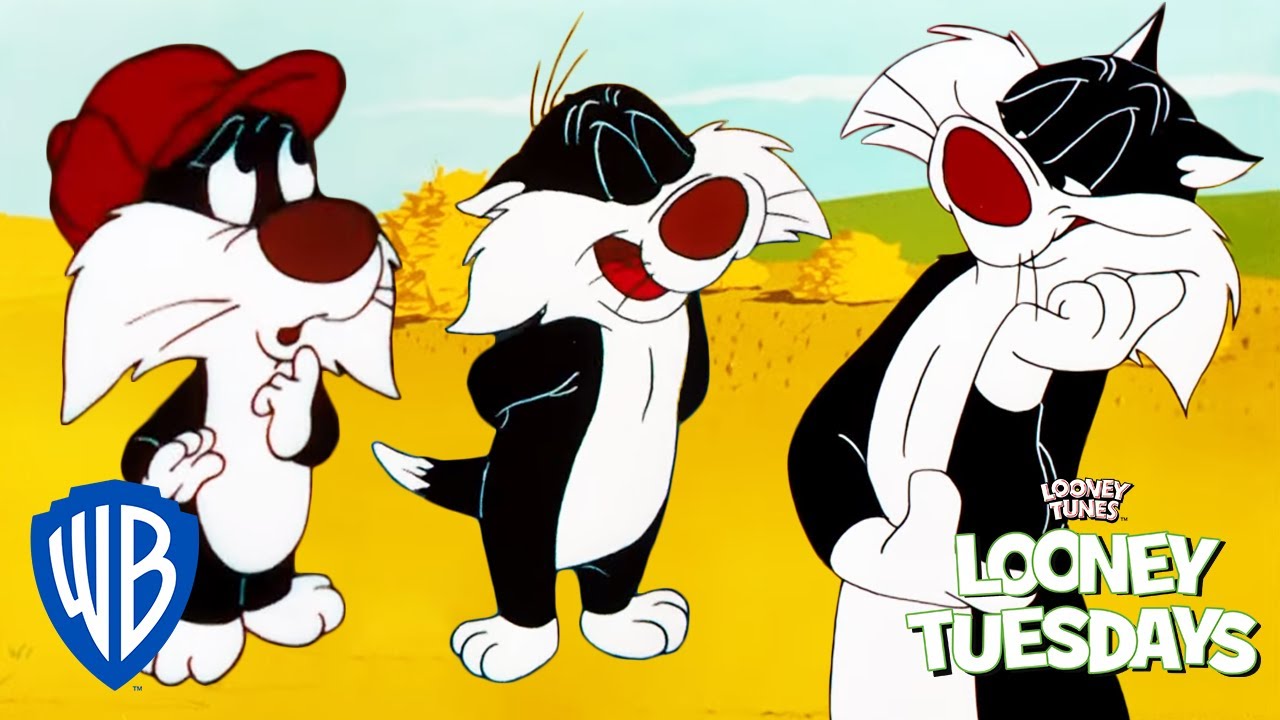 Looney Tuesdays | Sylvester Has a Son?? | Looney Tunes | WB Kids