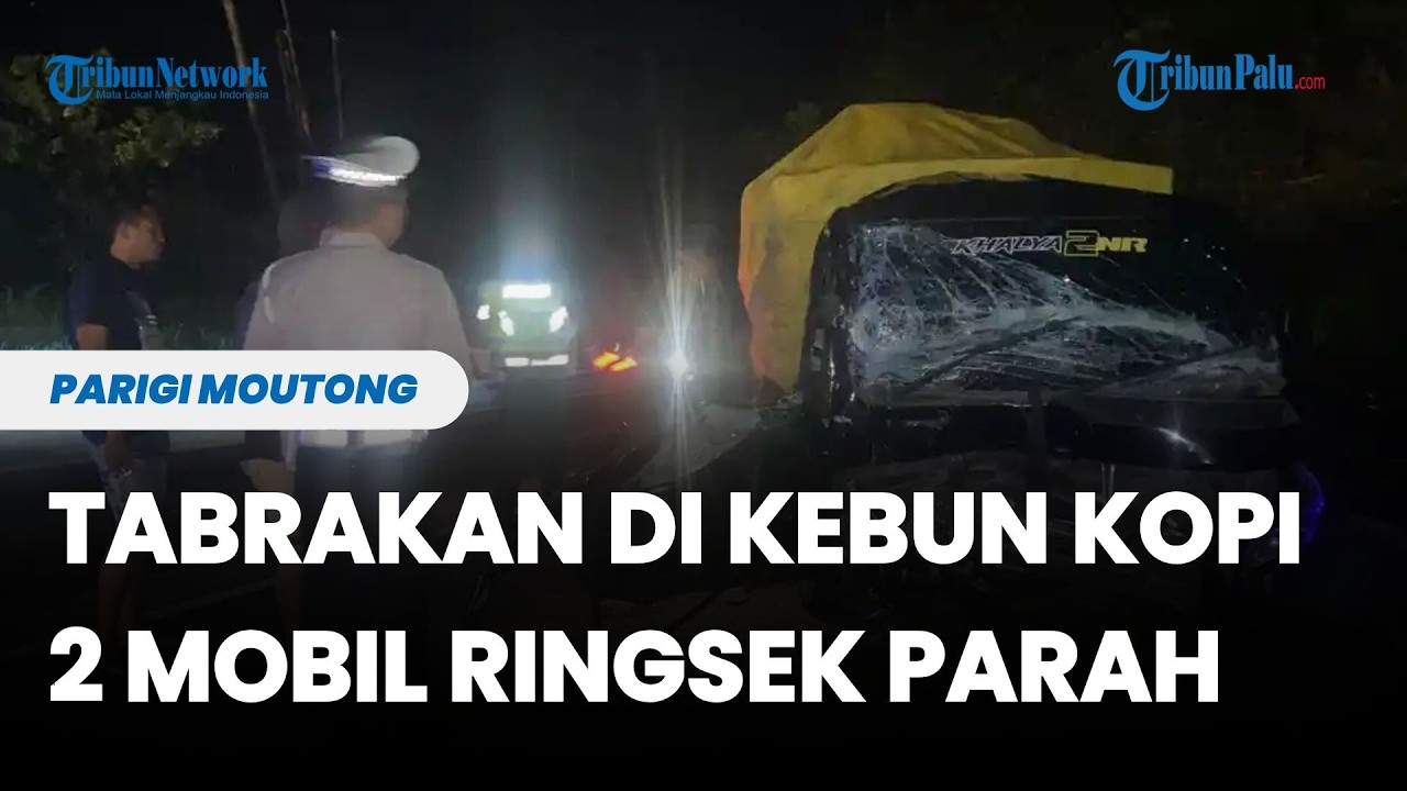 Toyota Innova dan Suzuki Carry Tabrakan di Kebun Kopi Parigi Moutong, Dua Mobil Ringsek Parah
