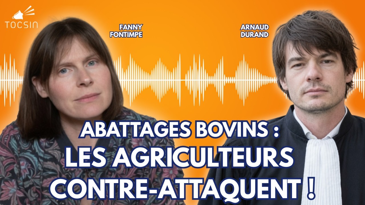 Action collective historique : agriculteurs et consommateurs unissent leurs forces contre l&rsquo;UE