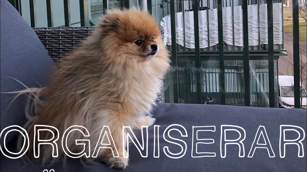 ORGANISERAR HELA LÄGENHETEN