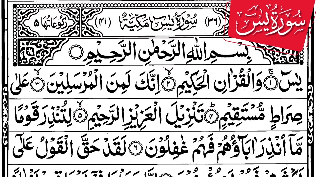 Surah Yaseen (سورة يس) | Morning Quran Recitation | Heart Soothing Tilawat | Healing & Peace Ep-6