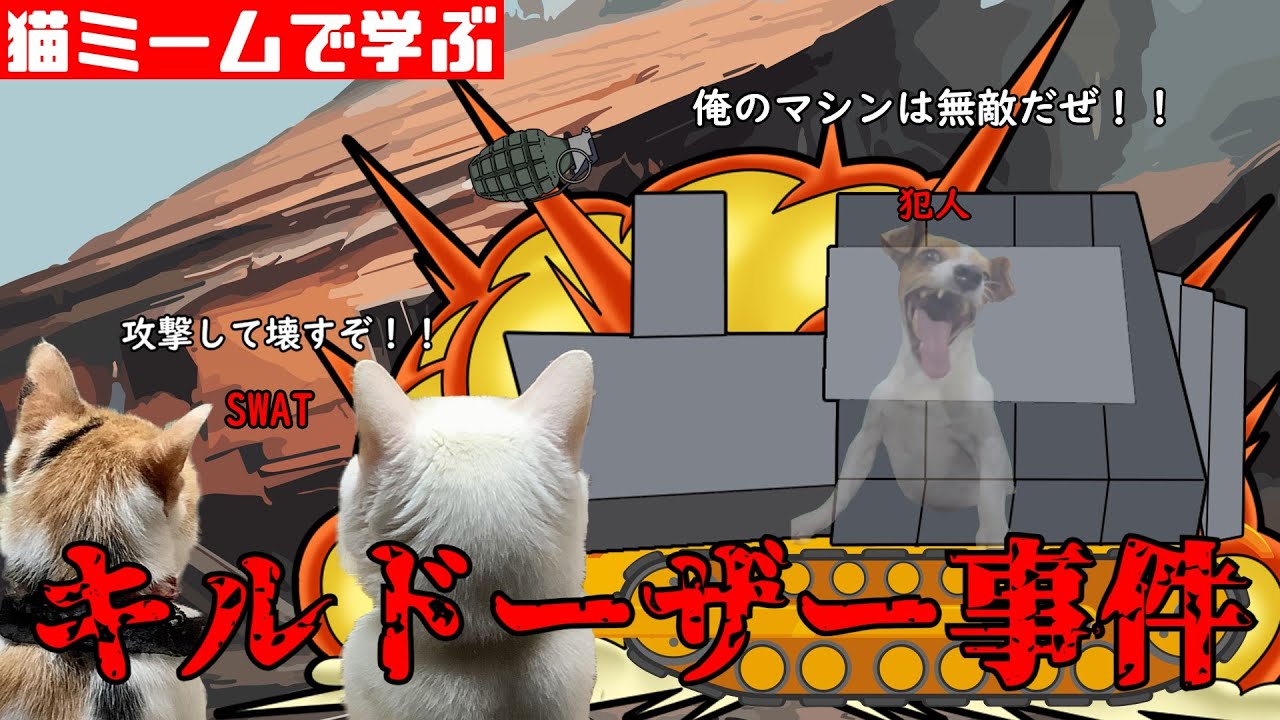 猫ミームで学ぶキルドーザー事件 #猫マニ #猫ミーム