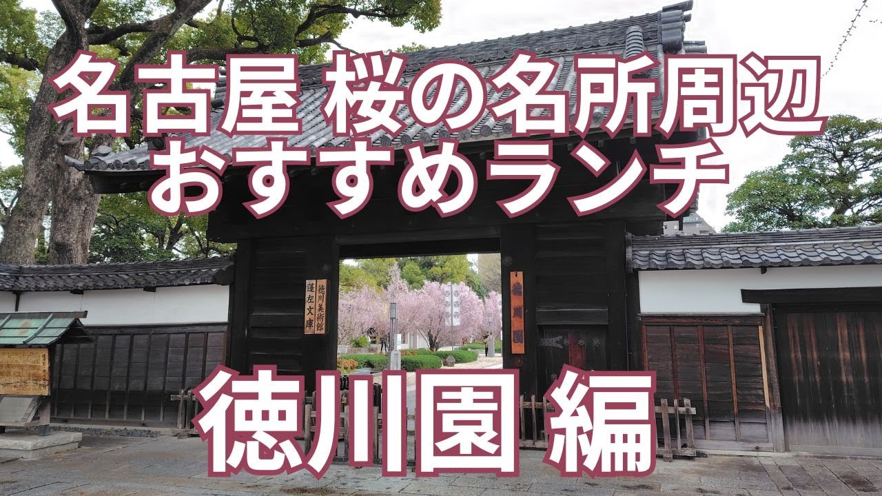 【名古屋グルメ】 桜の名所周辺のおすすめランチ　徳川園 編　日本料理からとんかつ、イタリアン、うなぎ、きしめん、洋食、ラーメンまで