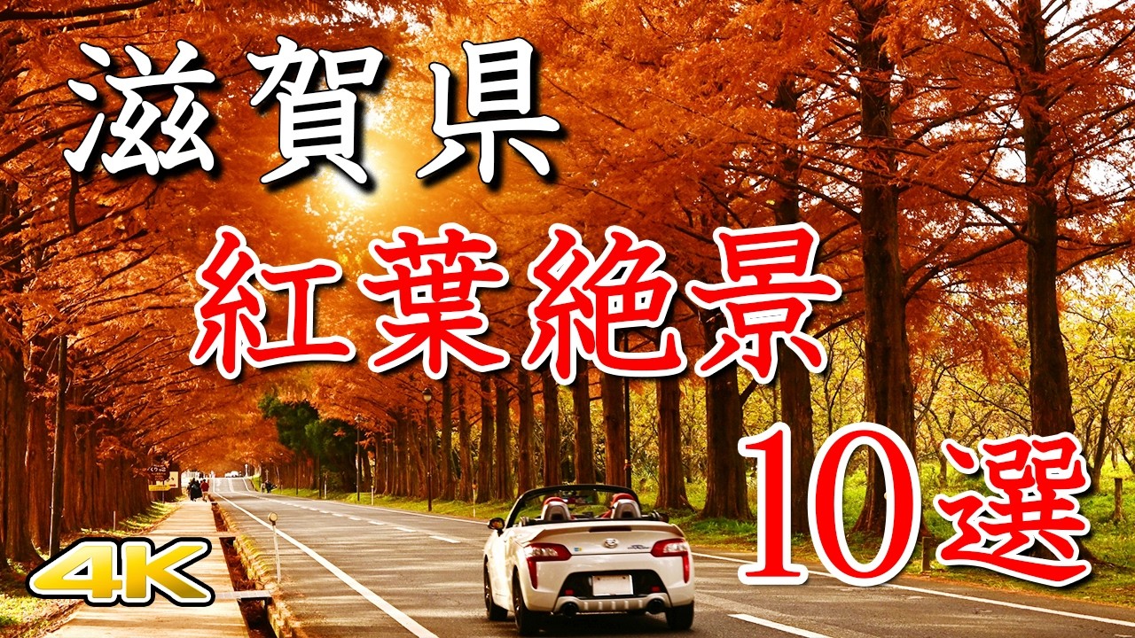 【4K 滋賀紅葉🍁ベスト10選】名所ランキングを紹介します