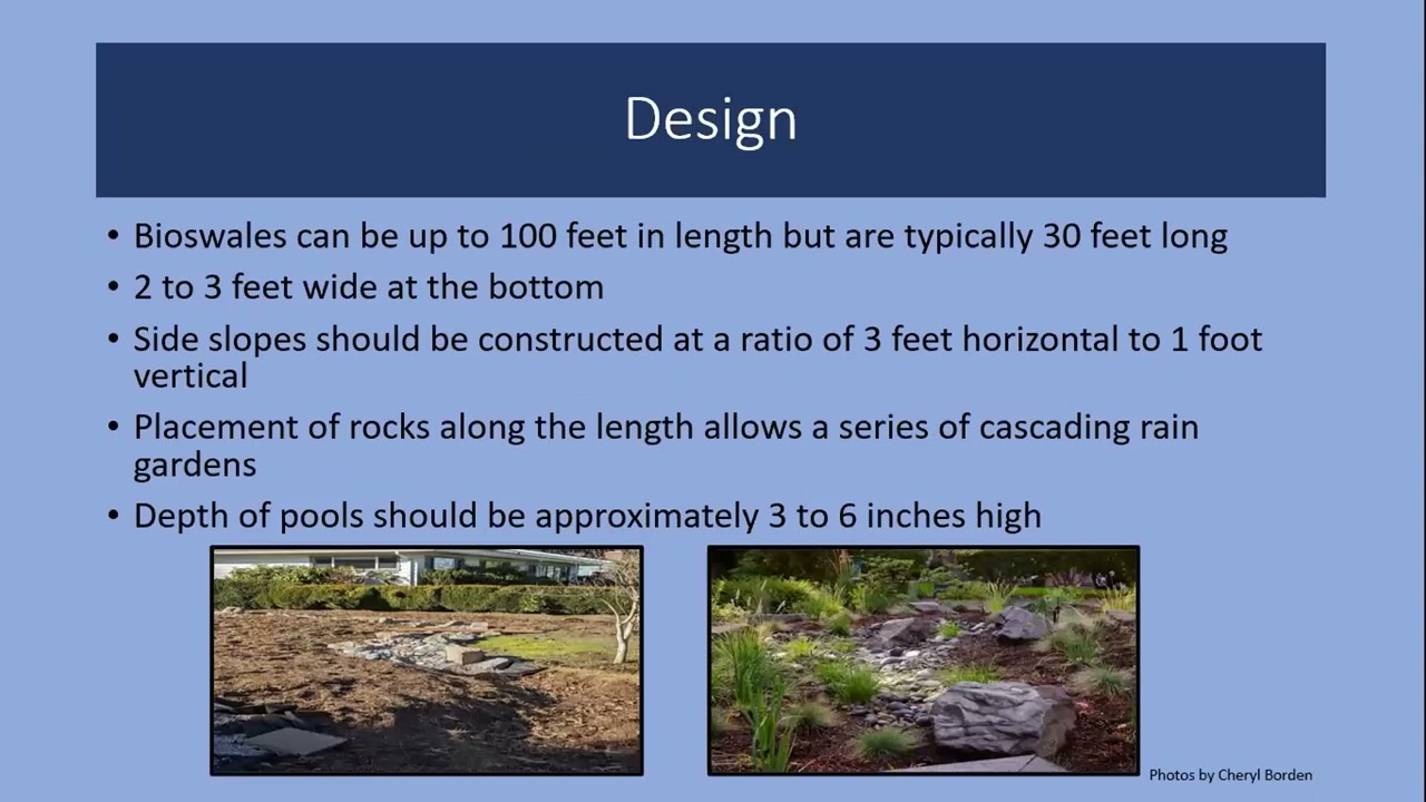 Bioswales and Rain Gardens with OSU Master Gardeners