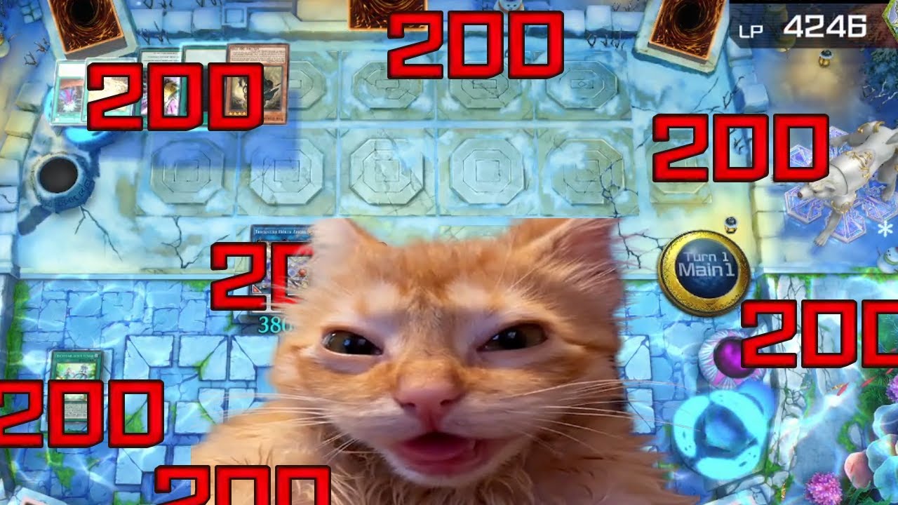 We live in a world where 200 feels incredibly expensive.ft Trickstar Yugioh Master Duel