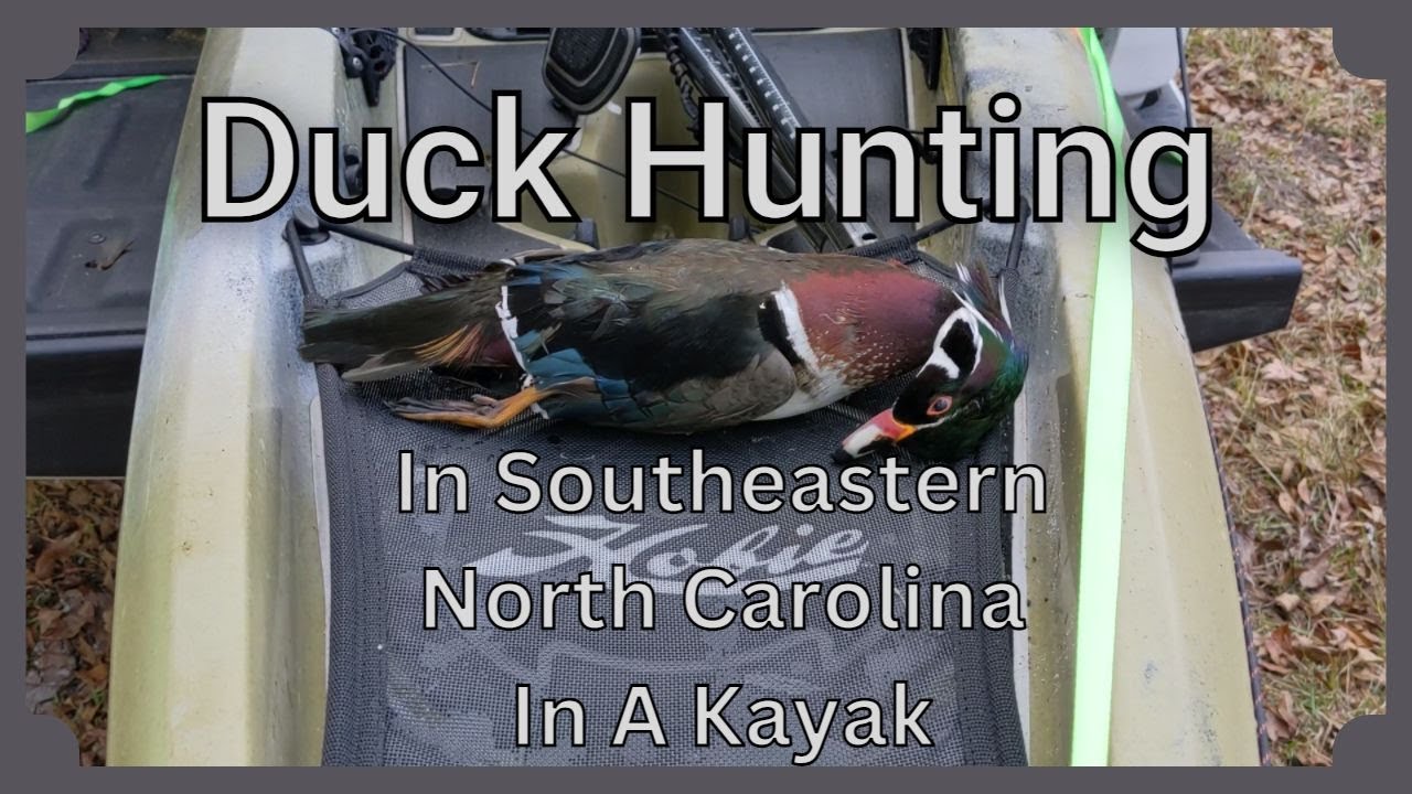 Duck Hunting in Southeastern North Carolina.