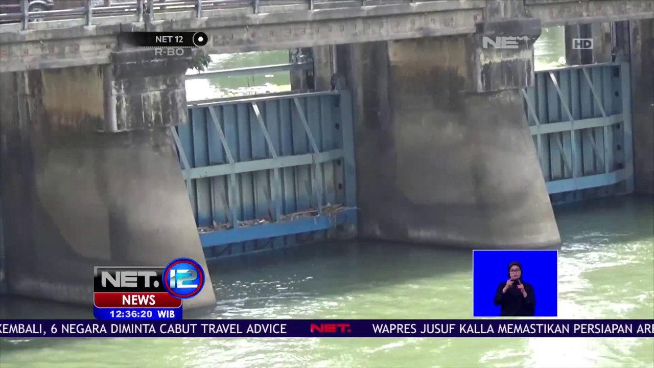 Polemik Ikan Arapaima di Sungai Brantas -NET12