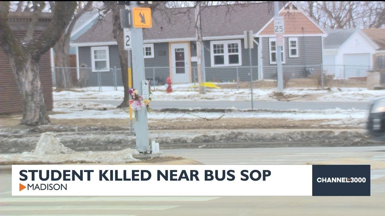 Student killed near bus stop