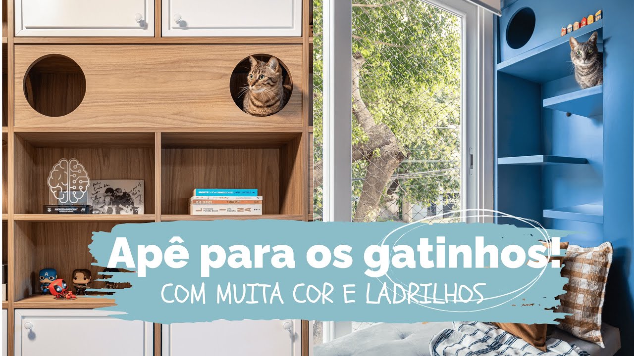 APARTAMENTO COLORIDO PENSADO PARA OS GATOS!