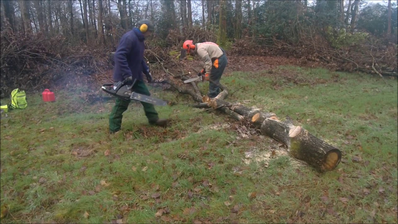 une journée au bois