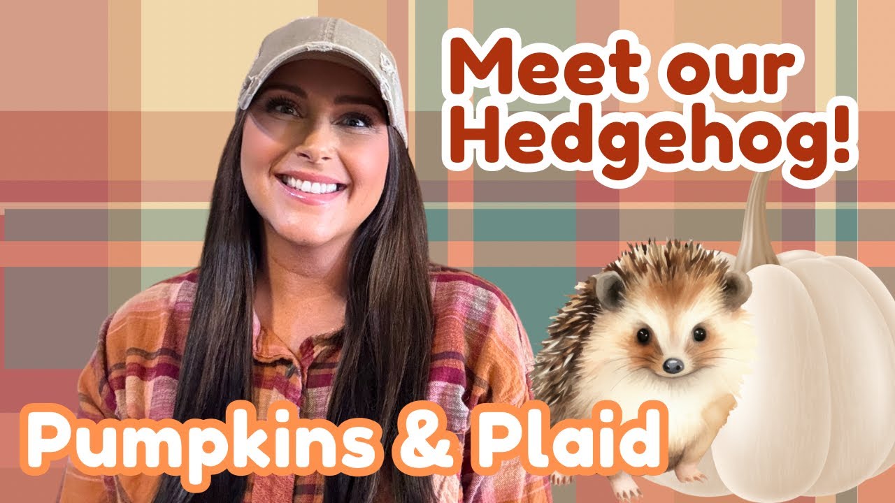 Fall Decorate With Me! 🎃🦔 Pumpkins & Plaid Decor w/Fall Tree & Meet our hedgehog! @ParadisePoint.
