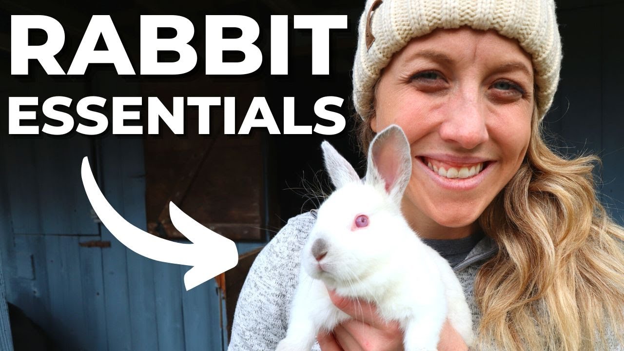 Meat Rabbit *Must Haves*