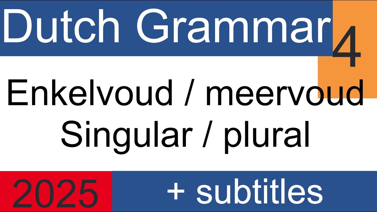ENKELVOUD & MEERVOUD DUTCH GRAMMAR #NT2 #learndutch #grammar #nederlands #staatsexamen #inburgering