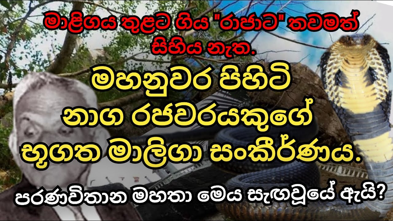 පචින රජතුමාගේ සැඟවුණු භූගත මාලිගා සංකීර්ණය . . . | 61 - 049 #nagakingdom  #GOTHAMA #palace #hela